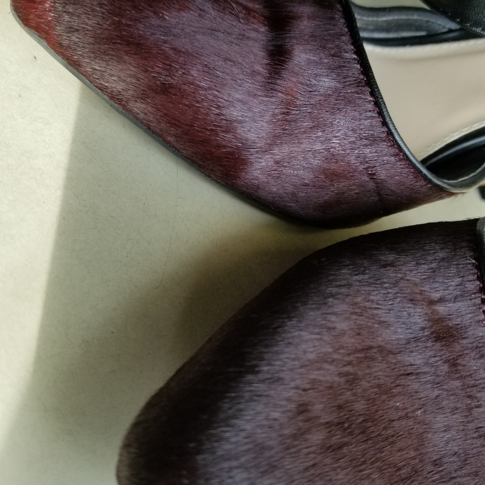 Fur Heels - Picture 4 of 5